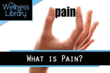 What is Pain?